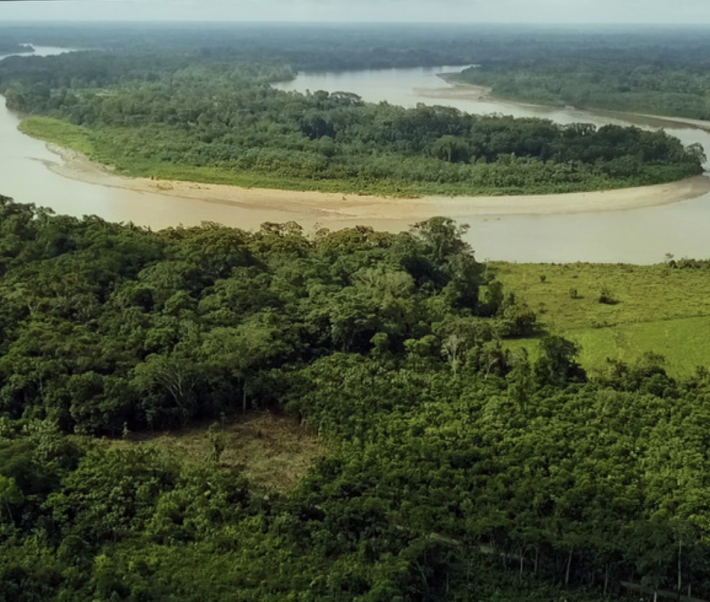 Environnement Colombie