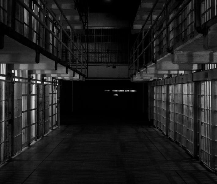 Alligator Alcatraz Garda 