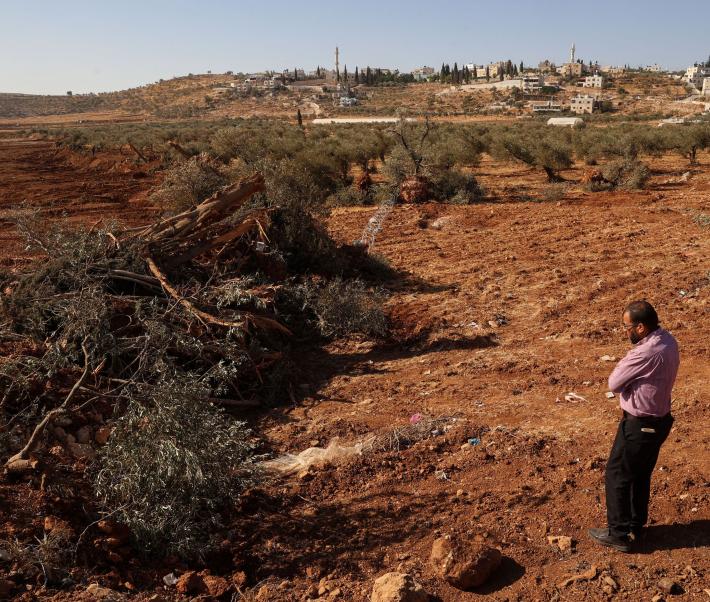 TOPSHOT-PALESTINIAN-ISRAEL-CONFLICT-AGRICULTURE-LAND