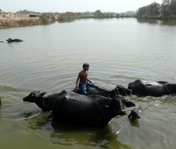 Pakistan