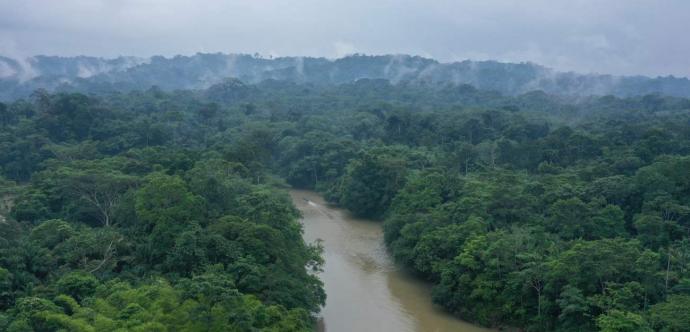 Peuples autochtones d'Amazonie