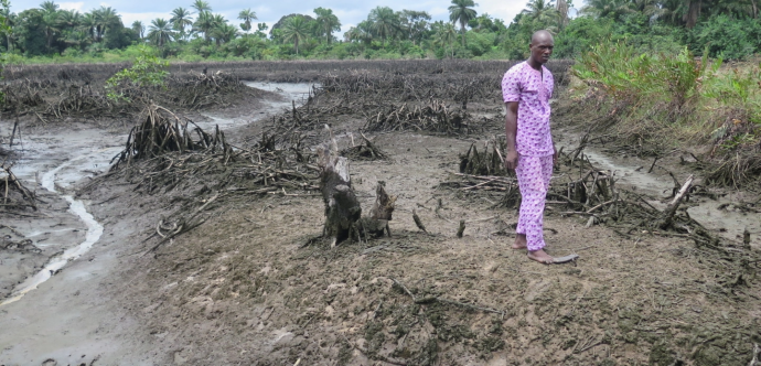Un homme marche sur le delta du Niger