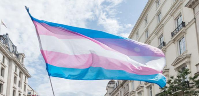 Drapeau de la fierté trans