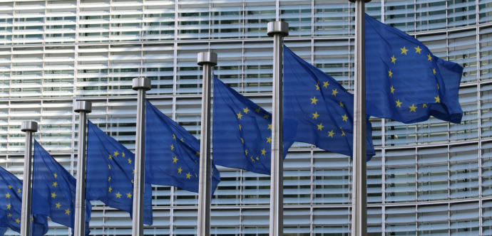 Plusieurs drapeaux de l'Union Européen