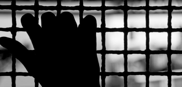 Freedom - hand on cage