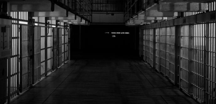 Alligator Alcatraz Garda 