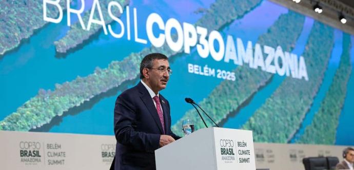 cop31