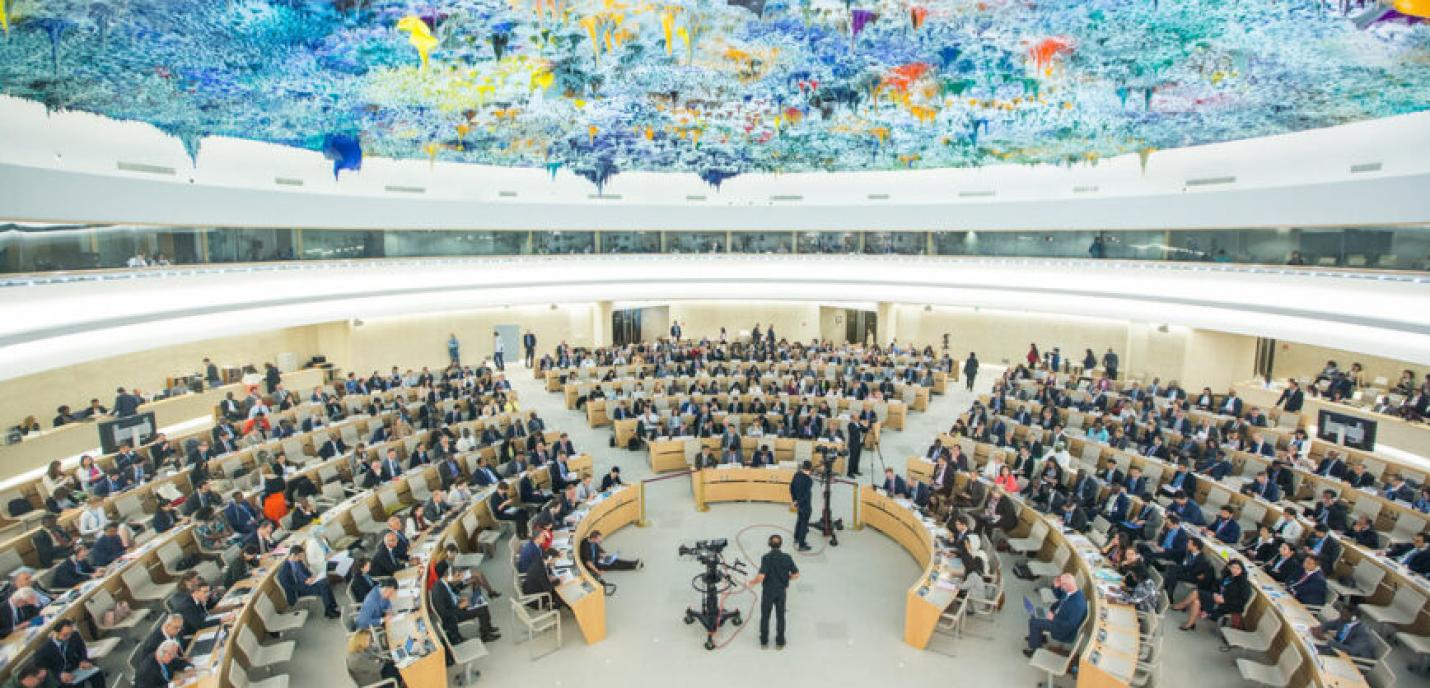 Conseil des droits de l'Homme des Nations Unies