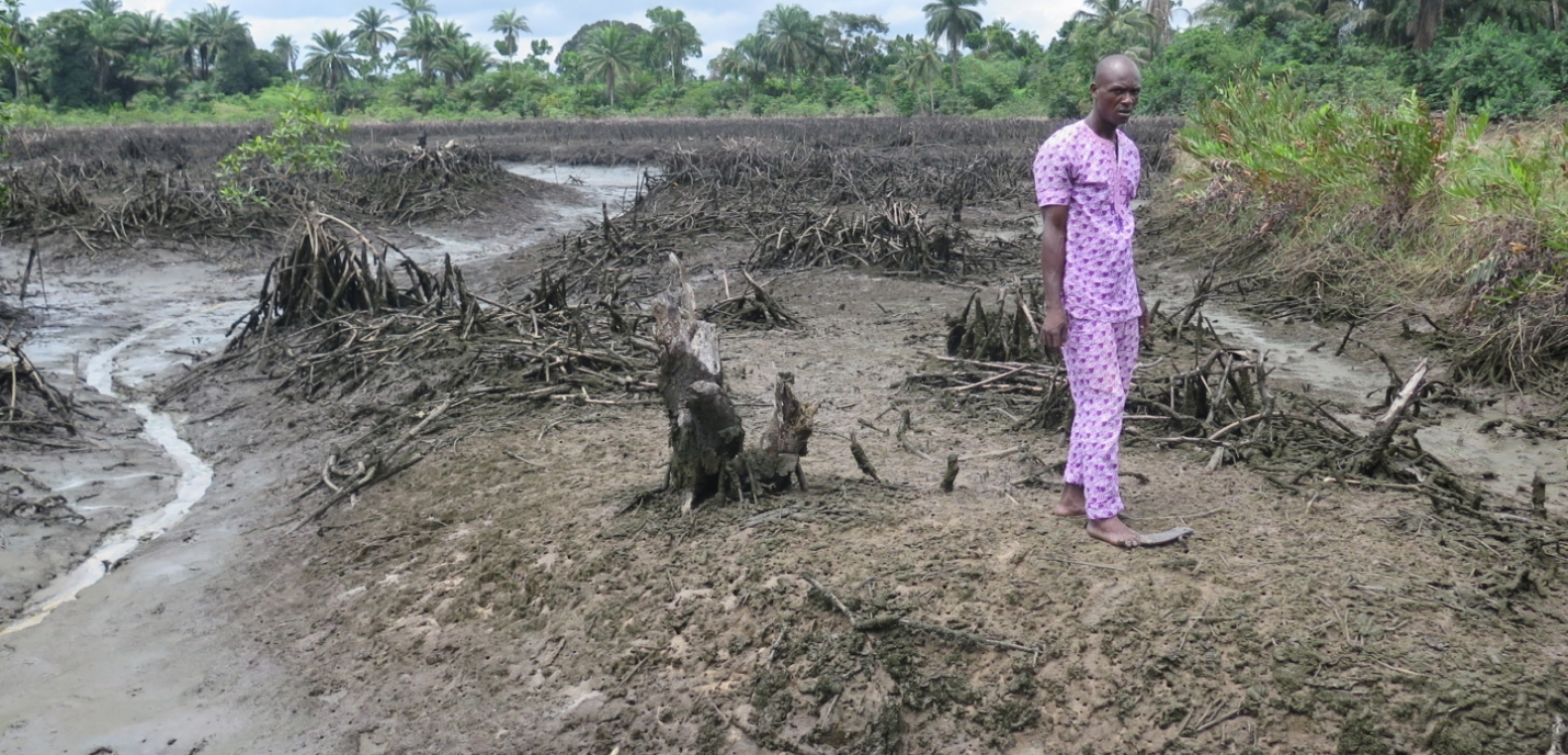 Un homme marche sur le delta du Niger