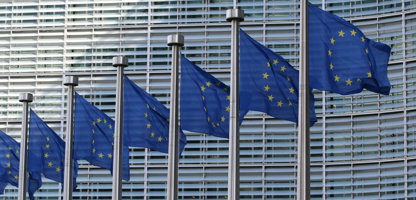 Drapeaux de l'Union européenne