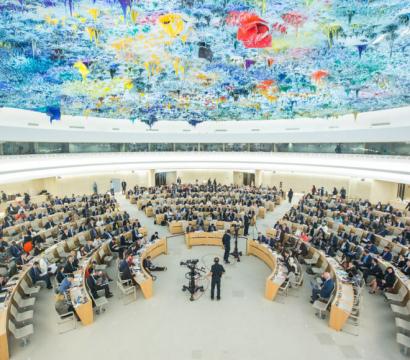 Conseil des droits de l'Homme des Nations Unies