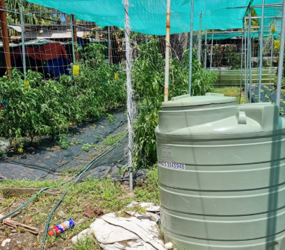 Les habitants de Tuvalu luttent pour cultiver leur nourriture malgré un sol salin et des conditions climatiques extrêmes. Ils ont besoin de soutien pour rester sur leurs îles ou migrer en toute dignité.