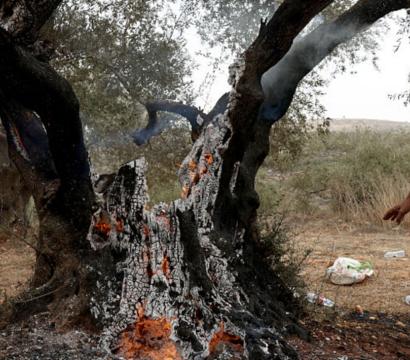 ©AHMAD GHARABLI / AFP via Getty Images